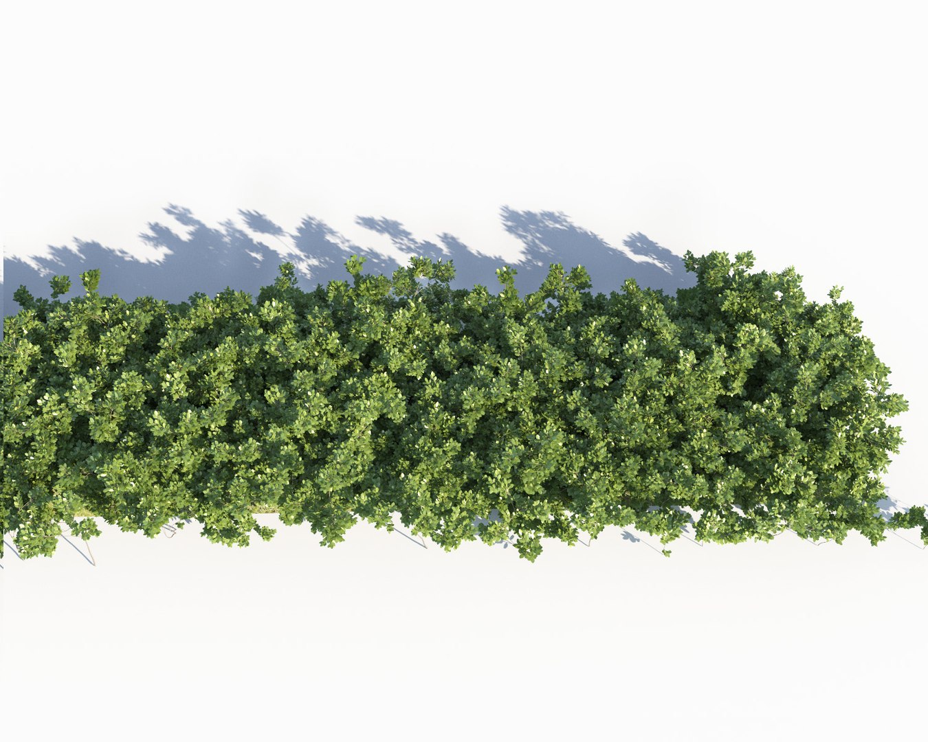 realistic hedges max https://p.turbosquid.com/ts-thumb/TL/XizFL0/Mii1VwCy/shrubs_scatterable4/jpg/1580236560/1920x1080/fit_q87/41d21c0e71dc18b268381712370e730bf3dd6742/shrubs_scatterable4.jpg