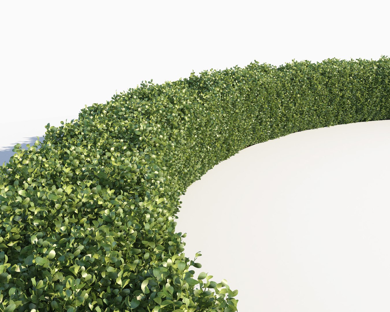 realistic hedges max https://p.turbosquid.com/ts-thumb/TL/XizFL0/XI3ynjoy/hedge_scatterable2b/jpg/1580236528/1920x1080/fit_q87/0fae607d19fe98a0b8f82f851165be9282d94578/hedge_scatterable2b.jpg