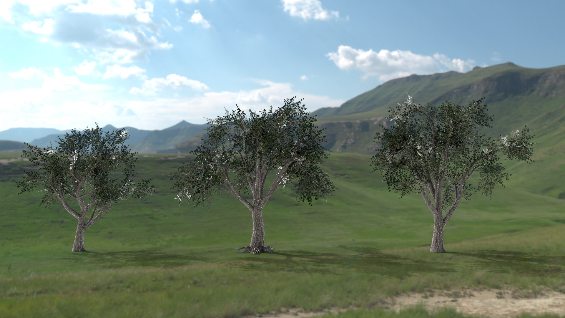 English trees  bushes pack 3D model https://p.turbosquid.com/ts-thumb/TL/YiFPwv/3s/elm/png/1751993096/1920x1080/fit_q87/2ce4e9d739b8c31a9810b663cdfa5ce6d5acae22/elm.jpg