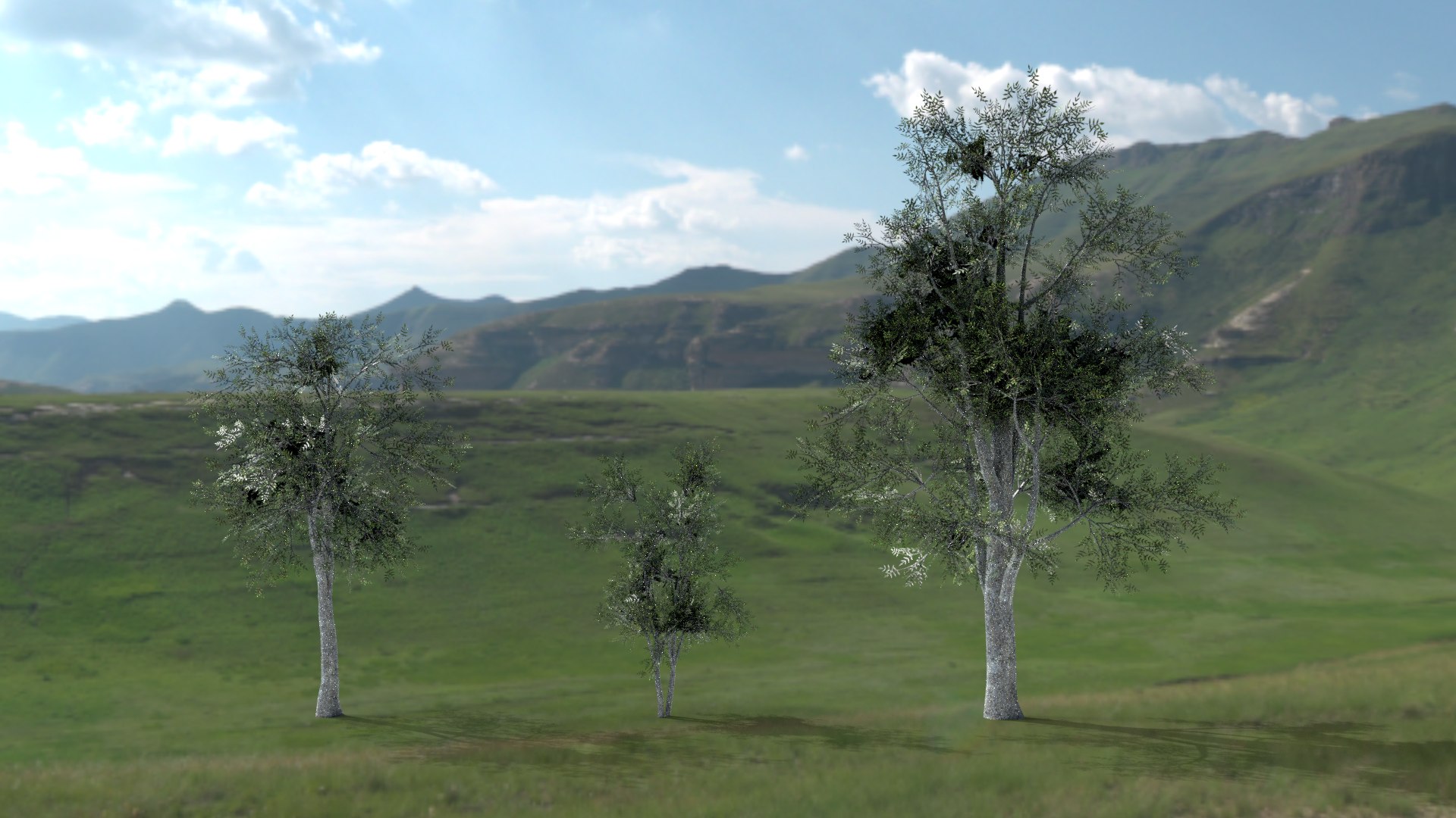 English trees  bushes pack 3D model https://p.turbosquid.com/ts-thumb/TL/YiFPwv/6T/mountainash/png/1751993106/1920x1080/fit_q87/79fc952b948c7943486c2bb1bae17adb16b34d73/mountainash.jpg