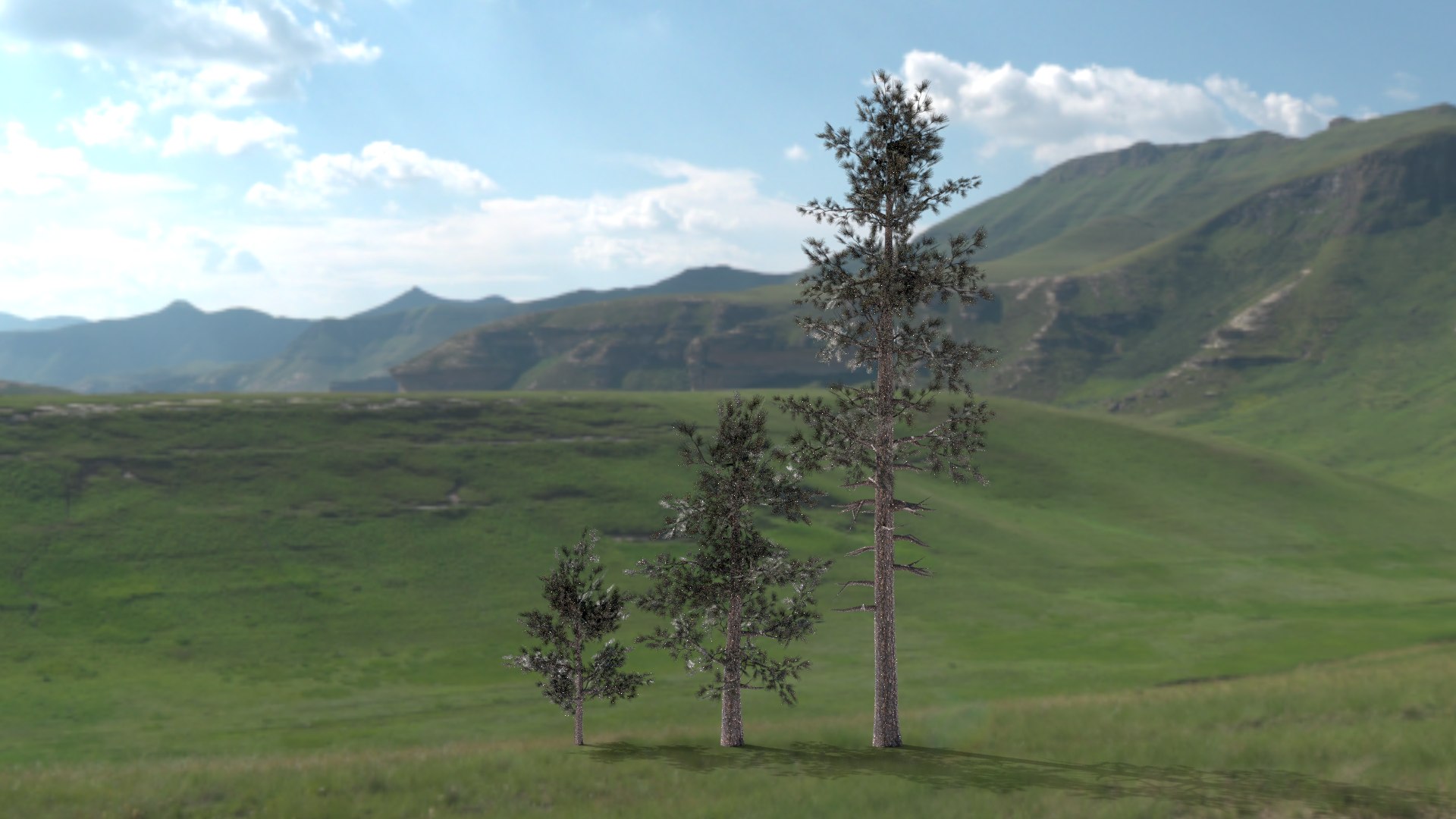 English trees  bushes pack 3D model https://p.turbosquid.com/ts-thumb/TL/YiFPwv/C4/ponderosa/png/1751993111/1920x1080/fit_q87/52d7d5653c751c5b72f10212e09f2241ec20c773/ponderosa.jpg