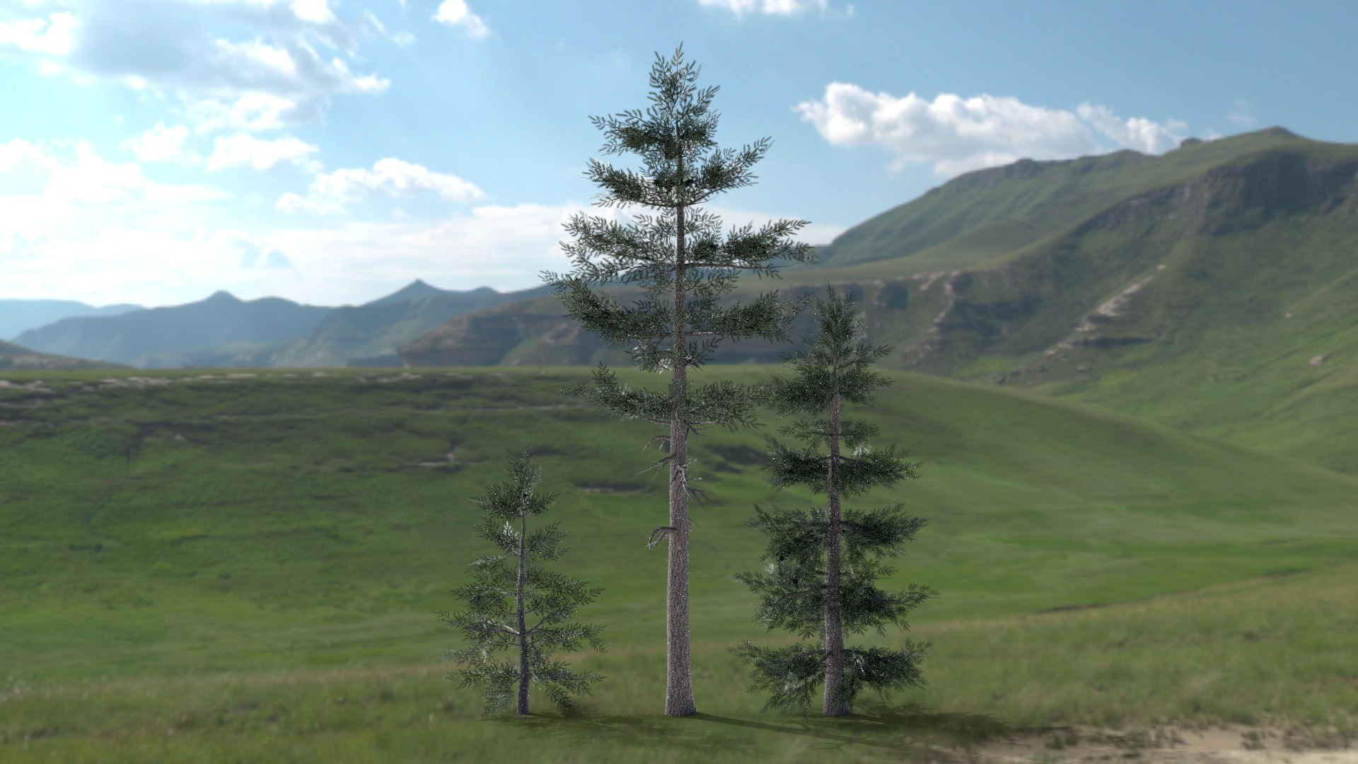 English trees  bushes pack 3D model https://p.turbosquid.com/ts-thumb/TL/YiFPwv/XC/spruce/png/1751993116/1920x1080/fit_q87/c9dd841533ecec42d3b6582589063f9cee0150ca/spruce.jpg
