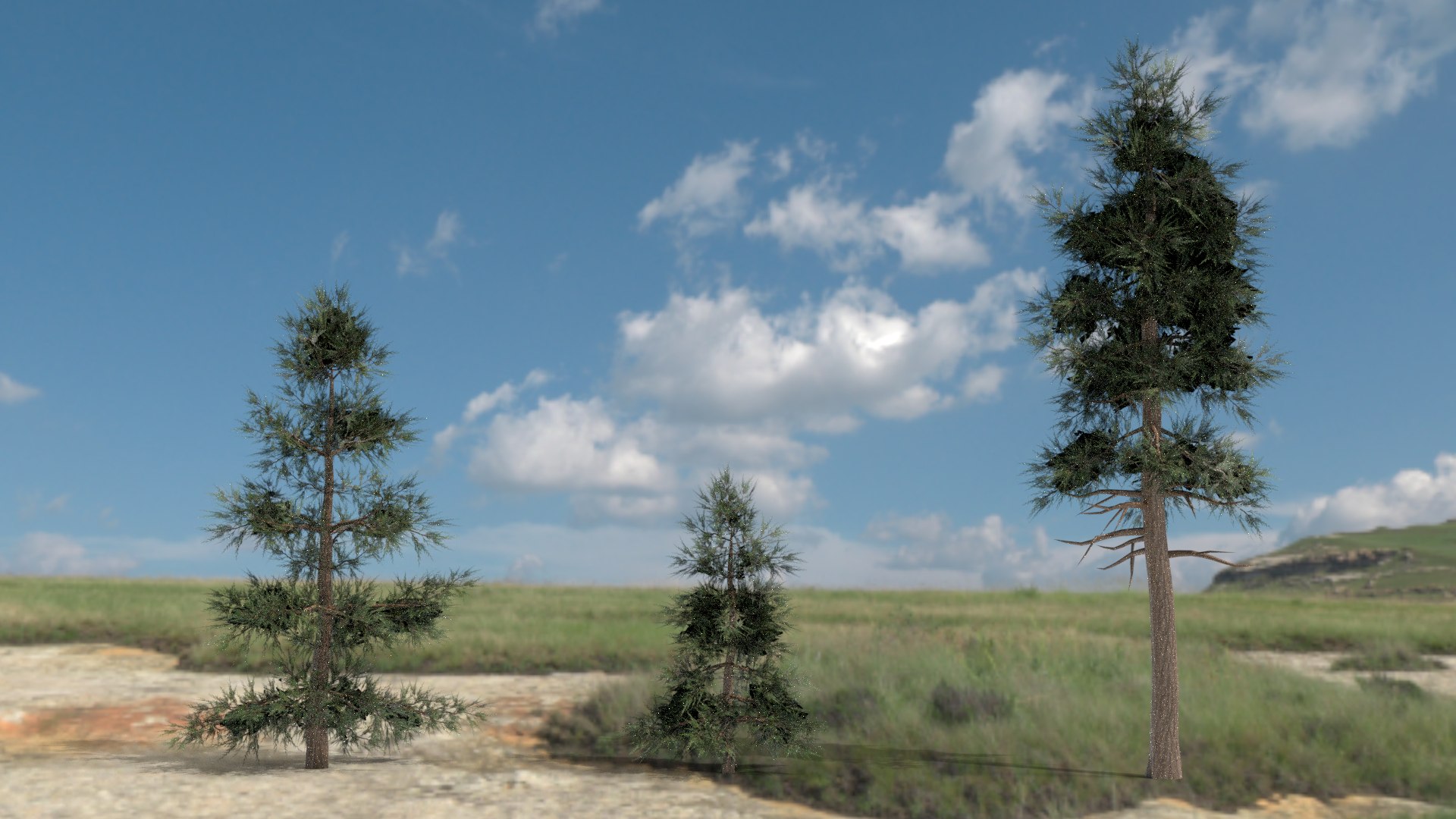 English trees  bushes pack 3D model https://p.turbosquid.com/ts-thumb/TL/YiFPwv/ZS/cedar/png/1751993090/1920x1080/fit_q87/d60a0f9890a1dc4a518e37ee0befc2b467c5a861/cedar.jpg