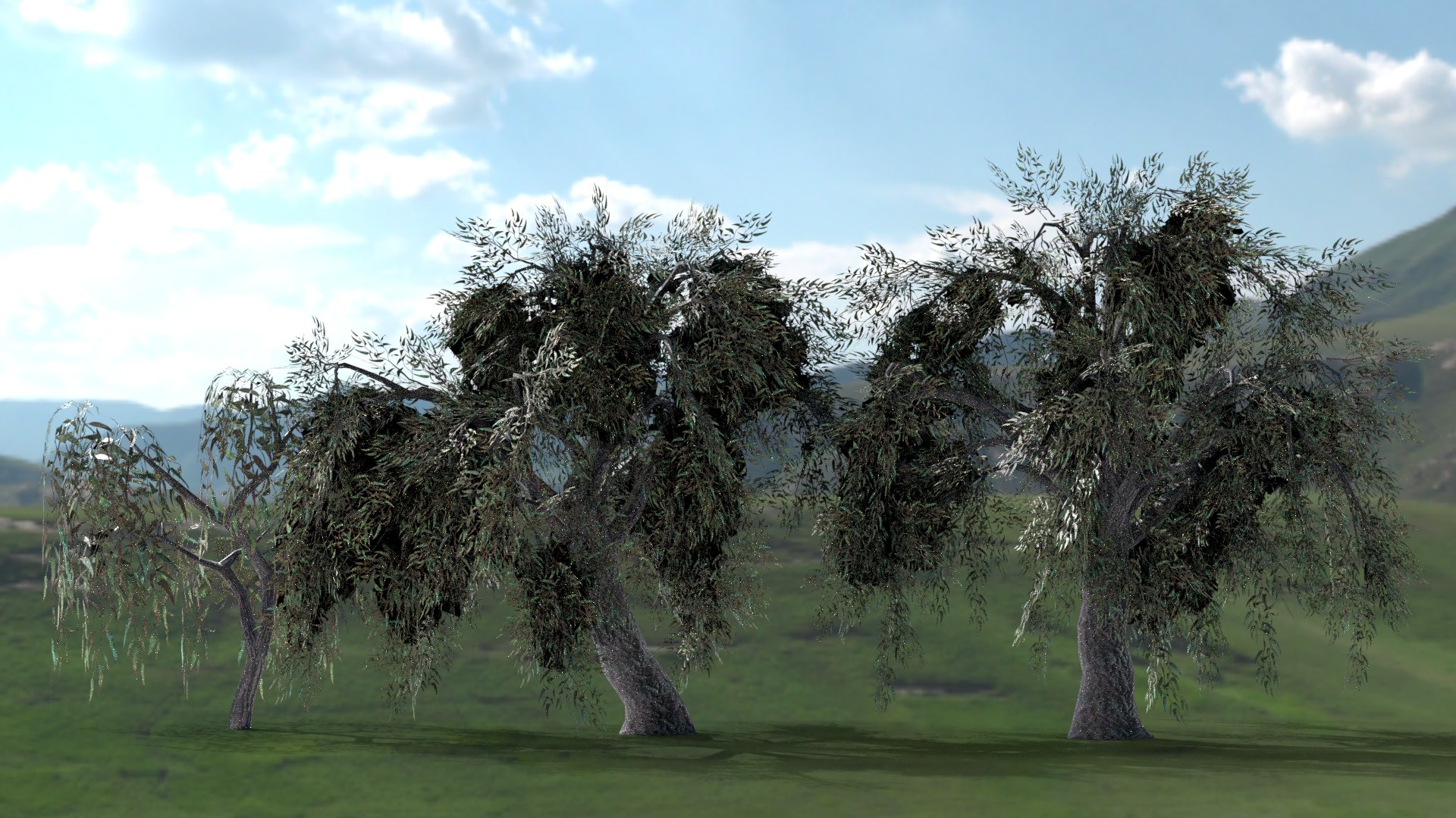 English trees  bushes pack 3D model https://p.turbosquid.com/ts-thumb/TL/YiFPwv/gw/willow/png/1751993121/1920x1080/fit_q87/4e637c1956df0e5a2bfd05e722719fa222e9c28b/willow.jpg