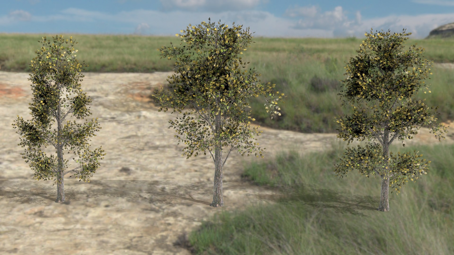 English trees  bushes pack 3D model https://p.turbosquid.com/ts-thumb/TL/YiFPwv/i9/maple/png/1751993107/1920x1080/fit_q87/c68fde38446e7d88537bbcc86e154b34353e4093/maple.jpg