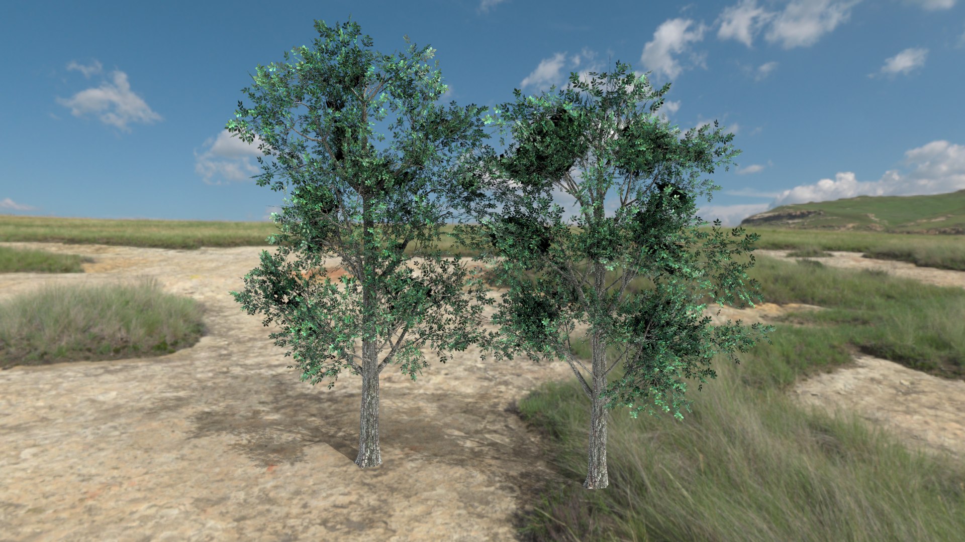English trees  bushes pack 3D model https://p.turbosquid.com/ts-thumb/TL/YiFPwv/yW/hickory/png/1751993104/1920x1080/fit_q87/d923cbba464cd403454b0b58eb7bd87db62dc2e1/hickory.jpg