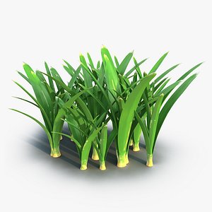 grass 3 c4d