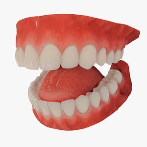 teeth realistic mouth 3D