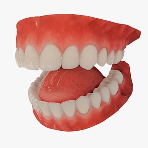 Realistic Mouth Teeth for character