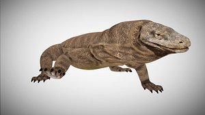 3D komodo dragon rigged model