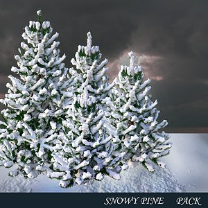 3d snowy pine pack model