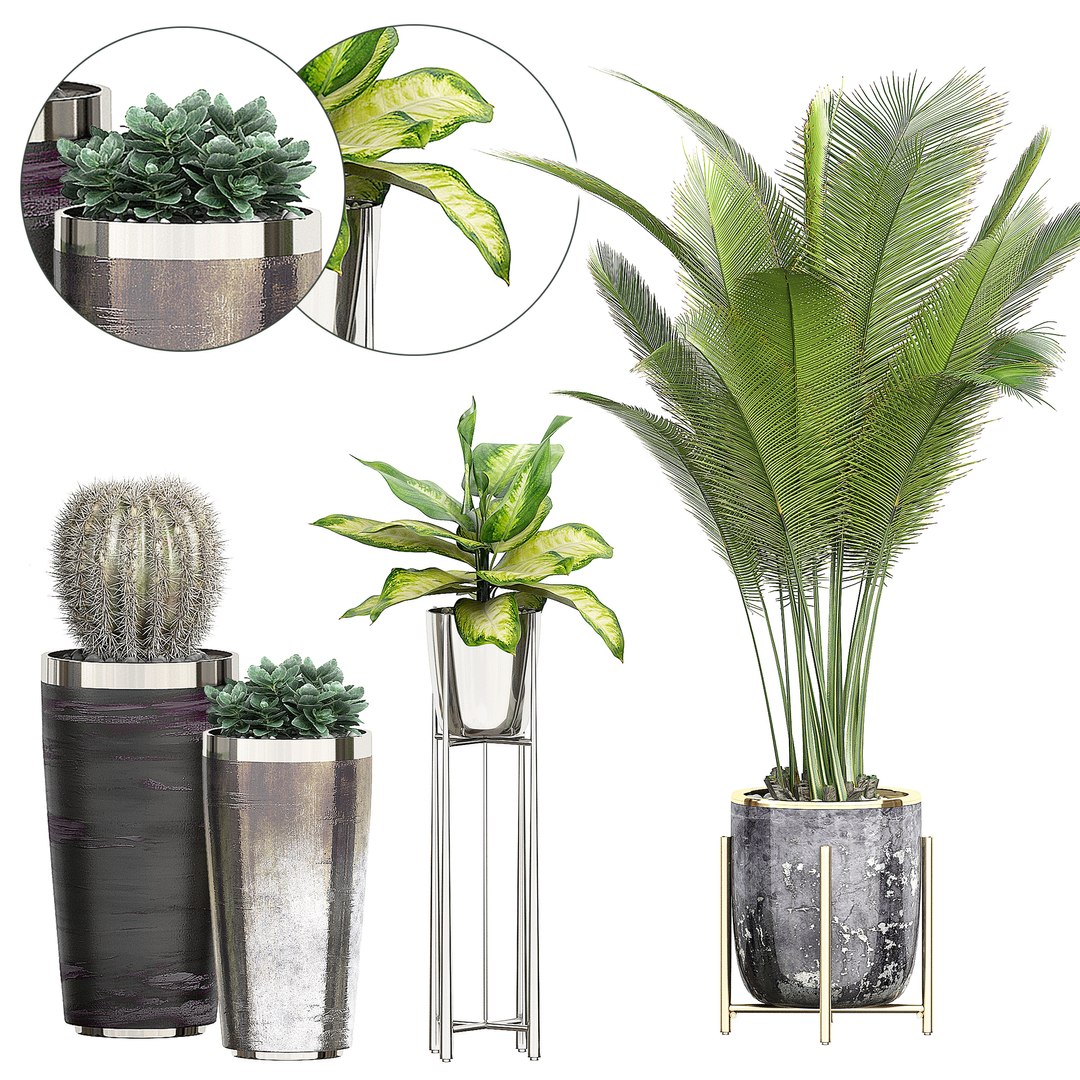 Potted Plants 72 3D - TurboSquid 1572235