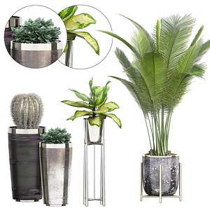 potted plants 72 3D
