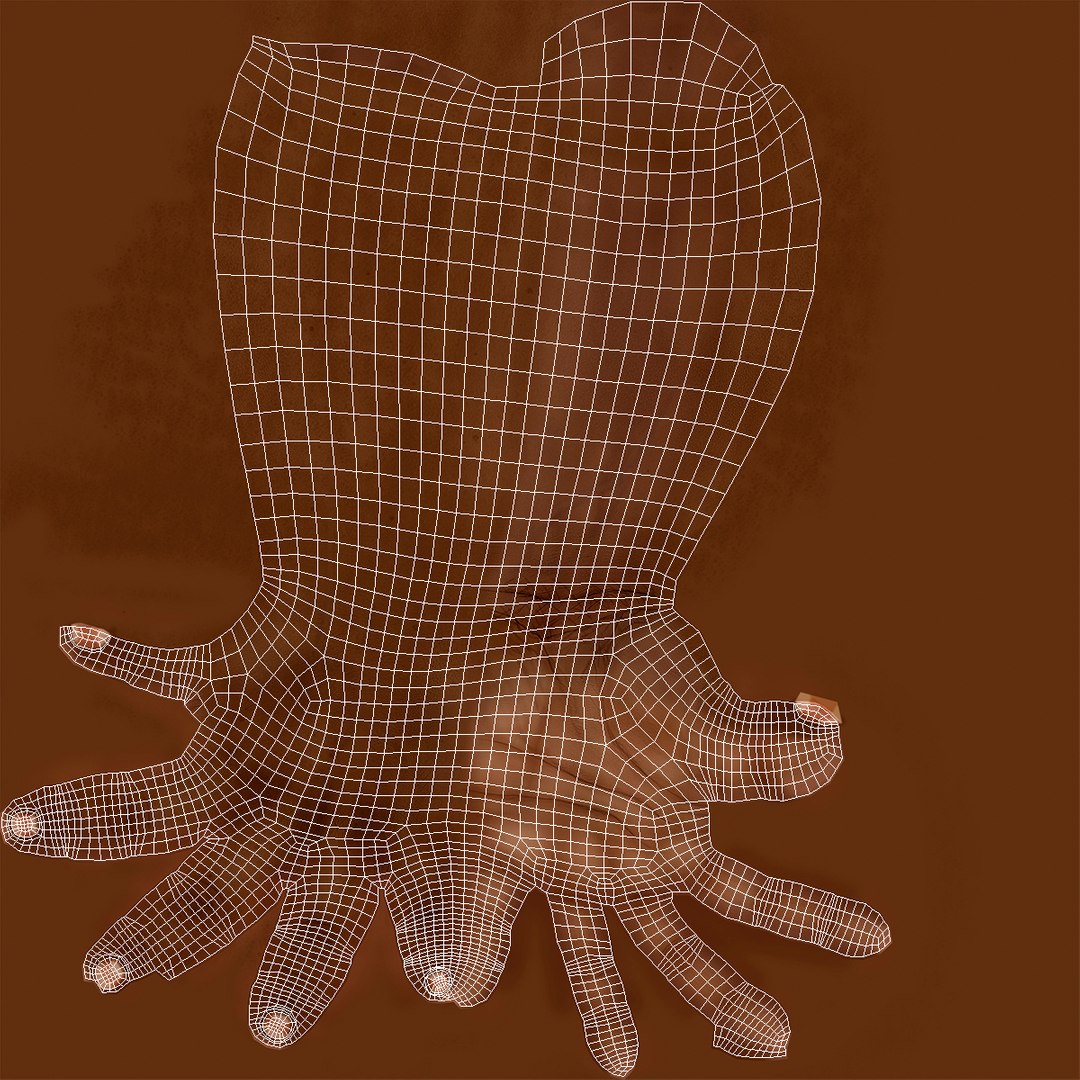 3D Afro American Male Hands Base Pose Model - TurboSquid 2169057