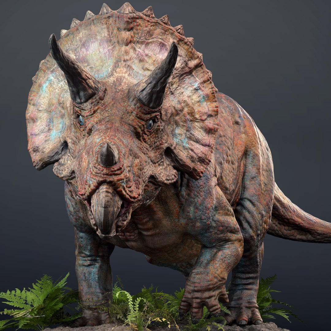 Triceratops 3D model https://p.turbosquid.com/ts-thumb/TM/GtsLp7/3B/v10_230703/jpg/1707123632/1920x1080/fit_q87/6926d25adee4d9785e8834e343457794e34e1889/v10_230703.jpg