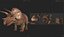 Triceratops