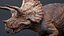 Triceratops