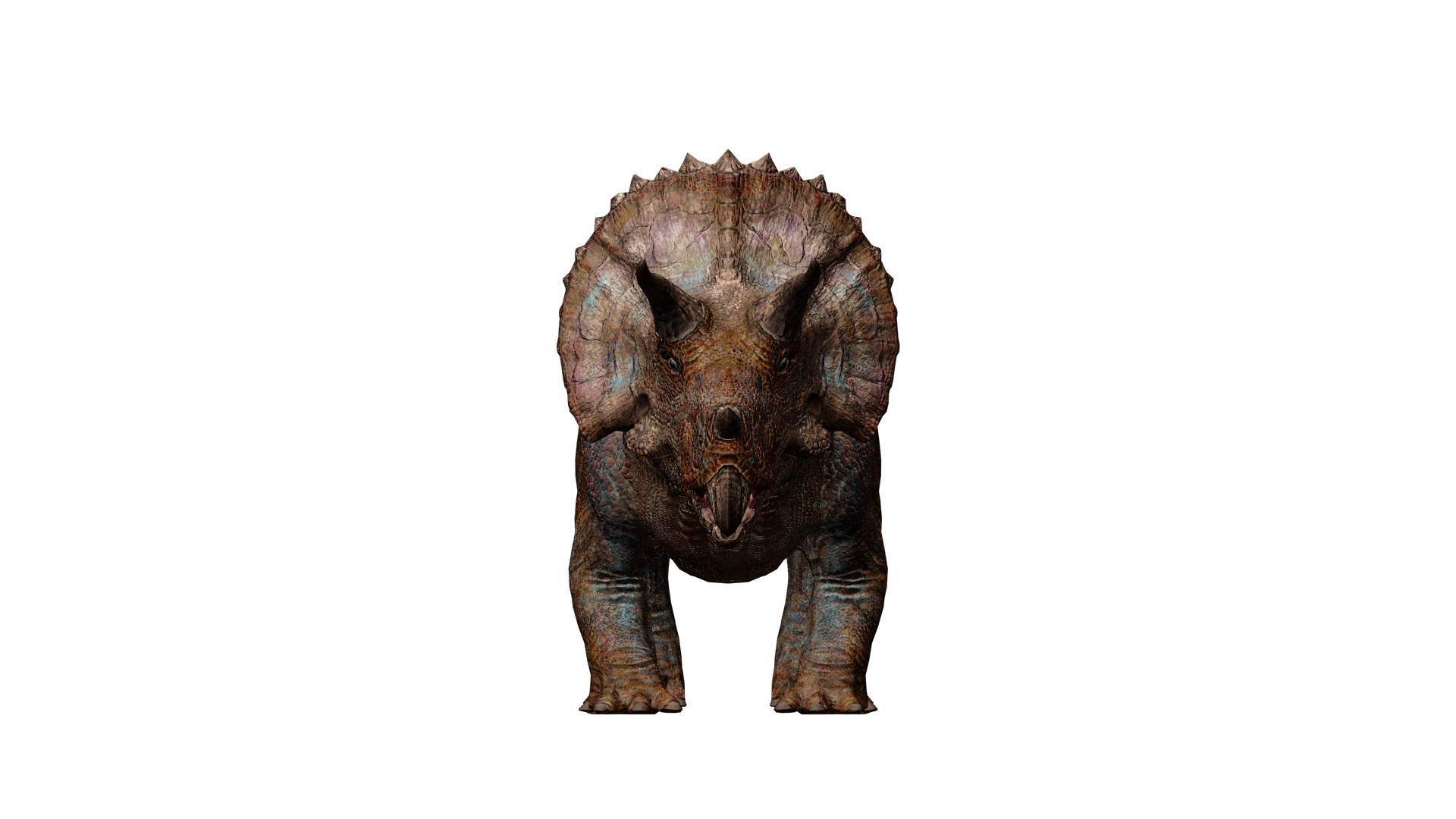 Triceratops 3D model https://p.turbosquid.com/ts-thumb/TM/GtsLp7/yP/rotate/png/1707638845/1920x1080/turn_fit_q99/598295f260af5e94b4bad65402ea0a85fd68c0f0/rotate-1.jpg