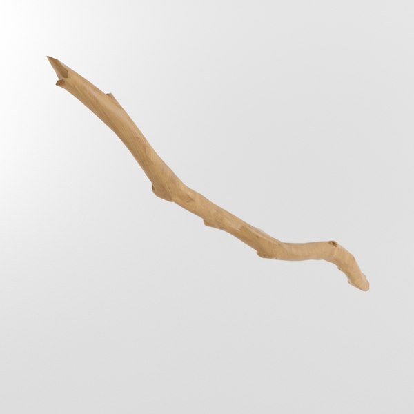 wooden stick max