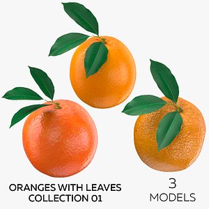 3D Oranges With Leaves Collection 01 - 3 models