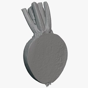 Beetroot Cut Half - For 3D Print