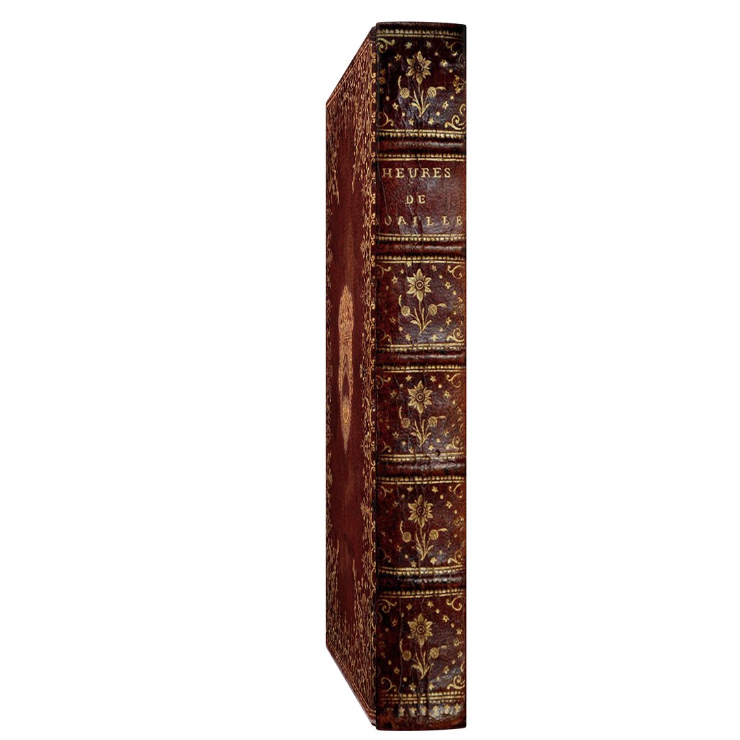 vintage book 3D model https://p.turbosquid.com/ts-thumb/TM/gKPHTY/gEVoHJGZ/bbok04/png/1575298798/1920x1080/fit_q87/f93d6df42079ed65d34b233b64e16ff9197d7182/bbok04.jpg