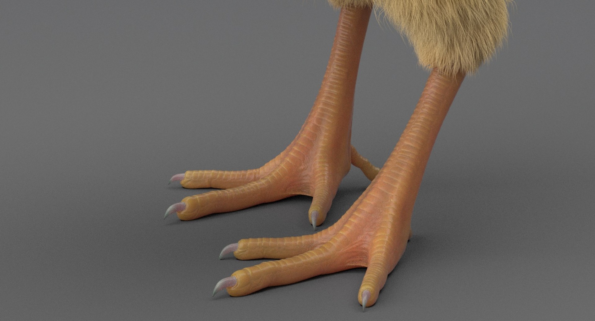 3D chick rig model - TurboSquid 1245523