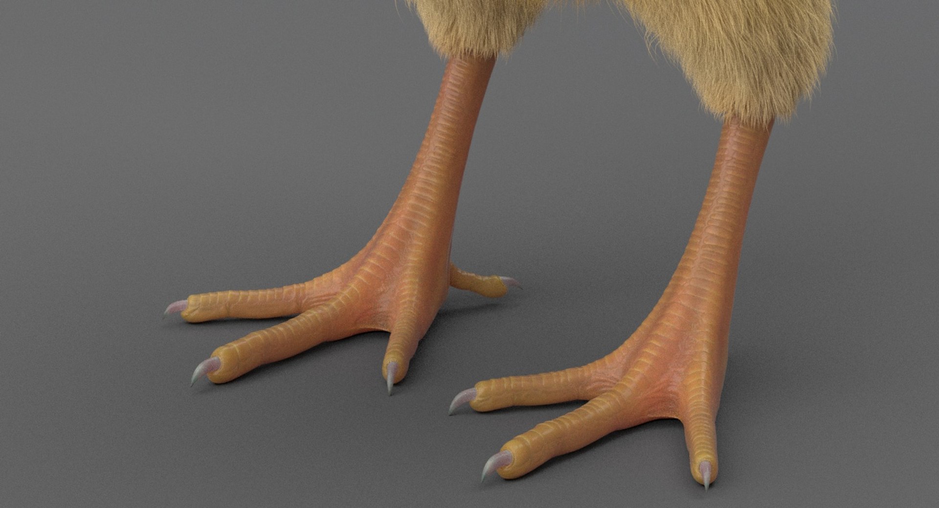 3D chick rig model - TurboSquid 1245523