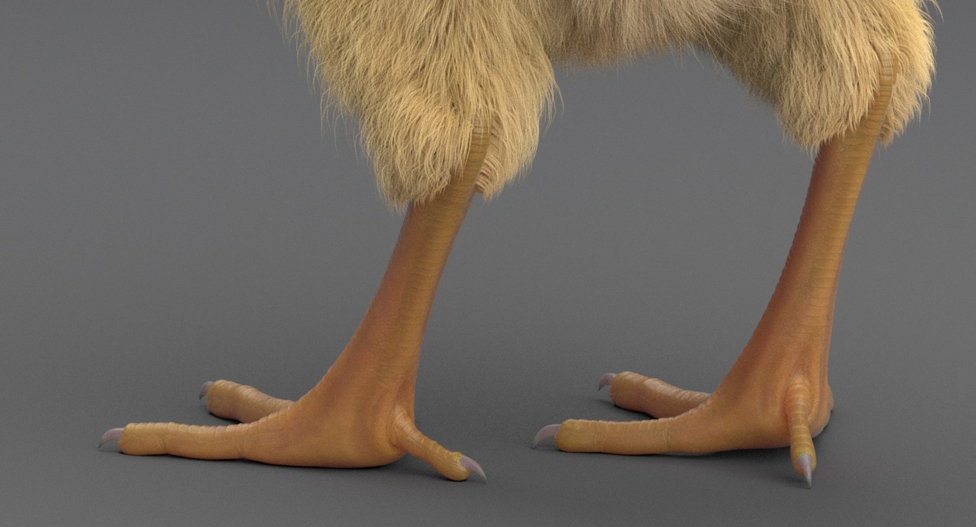 3D chick rig model - TurboSquid 1245523