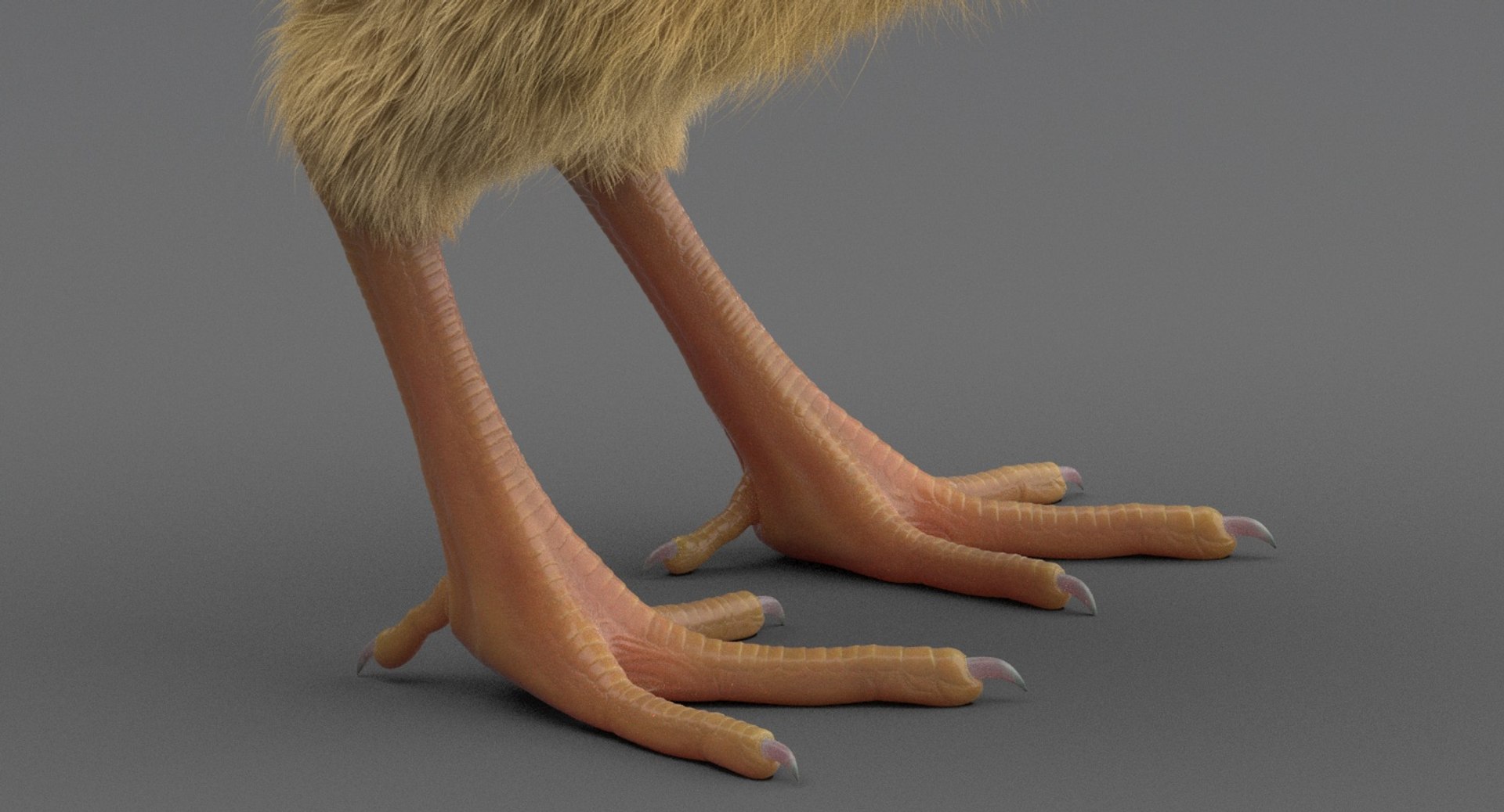 3D chick rig model - TurboSquid 1245523