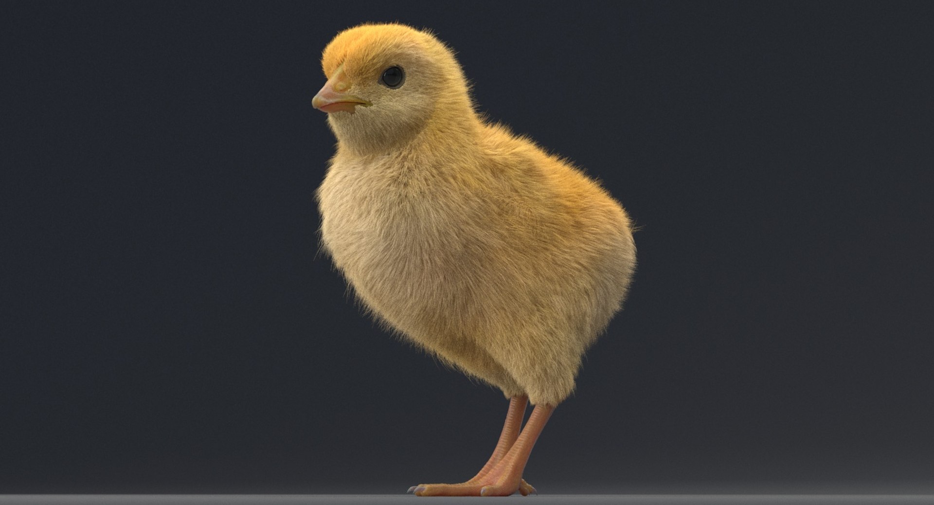 3D chick rig model - TurboSquid 1245523