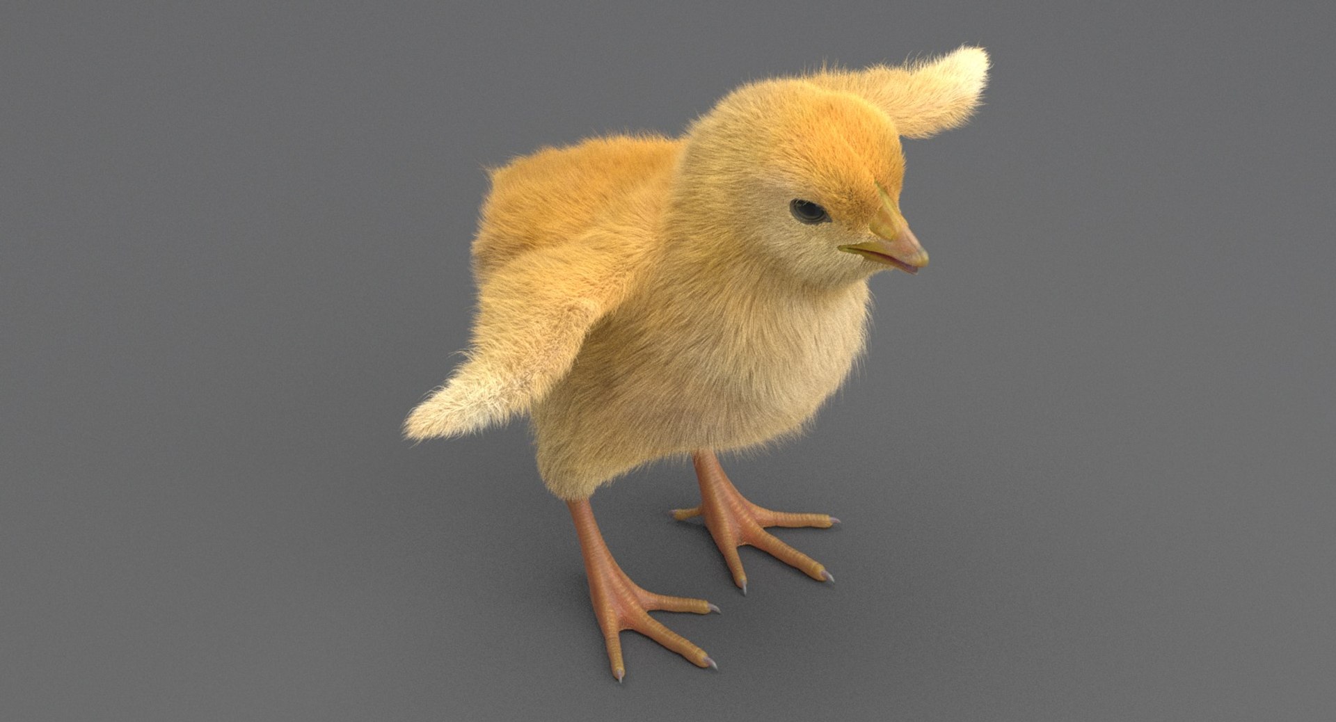 3D chick rig model - TurboSquid 1245523