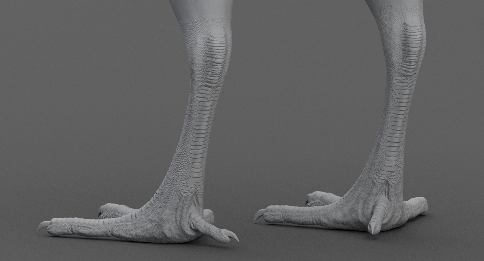 3D chick rig model - TurboSquid 1245523