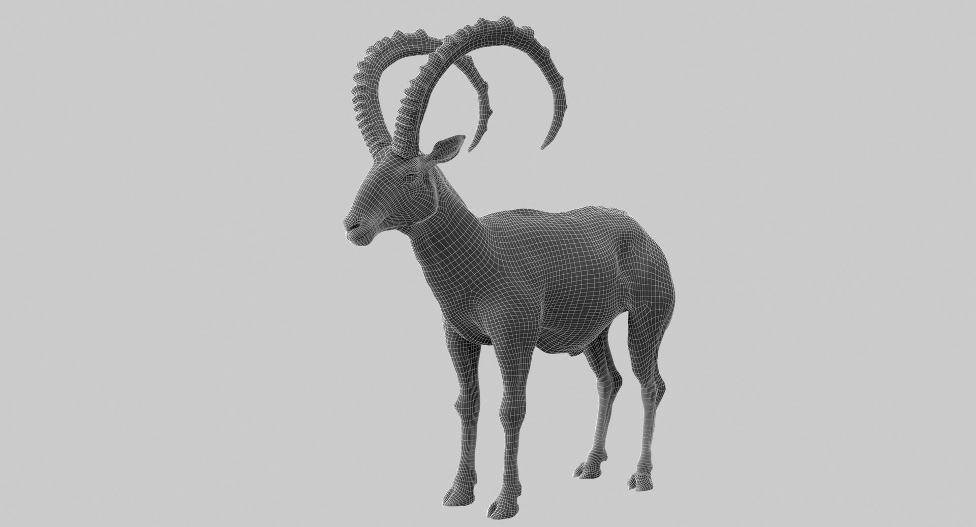 3D Wild Goat Model - TurboSquid 1408021