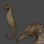3d seahorse sea horse model
