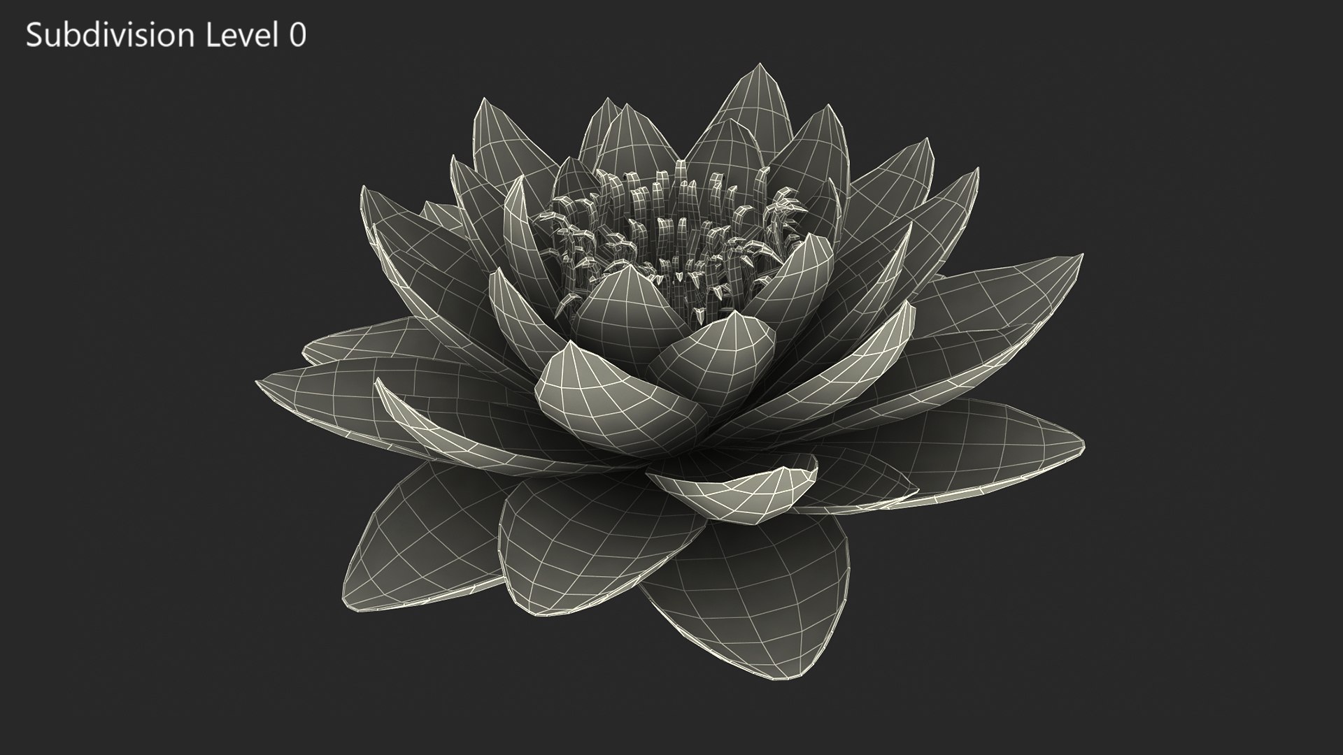 Blooming Nymphaea Siam Violet 3D model https://p.turbosquid.com/ts-thumb/TM/zc3CiW/B5/blooming_nymphaea_siam_purple_0007/jpg/1776434149/1920x1080/fit_q87/2551bf55f31f4740450e751107c205e1922f7588/blooming_nymphaea_siam_purple_0007.jpg