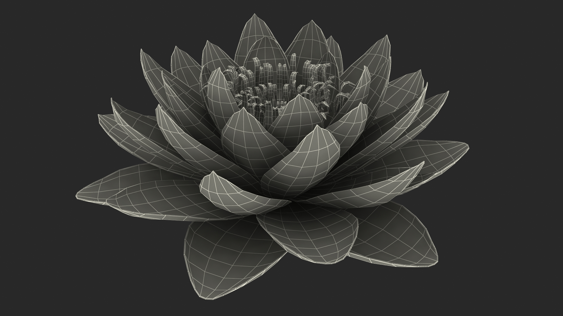 Blooming Nymphaea Siam Violet 3D model https://p.turbosquid.com/ts-thumb/TM/zc3CiW/LL/blooming_nymphaea_siam_purple_361/jpg/1776433977/1920x1080/turn_fit_q99/c089ab3c8057de10e23a9191585114558ac4c995/blooming_nymphaea_siam_purple_361-1.jpg