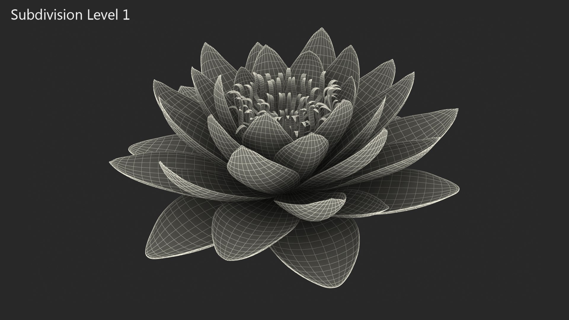 Blooming Nymphaea Siam Violet 3D model https://p.turbosquid.com/ts-thumb/TM/zc3CiW/to/blooming_nymphaea_siam_purple_0008/jpg/1776434153/1920x1080/fit_q87/4e21cb8b59f06ea5d4831899298c91feb4a542f2/blooming_nymphaea_siam_purple_0008.jpg