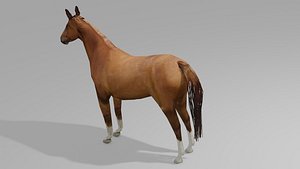 3xHorses Pack OBJ 3D model