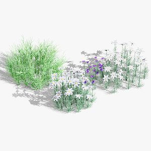 3D model 3D Flannel Flower Collection with Greenery