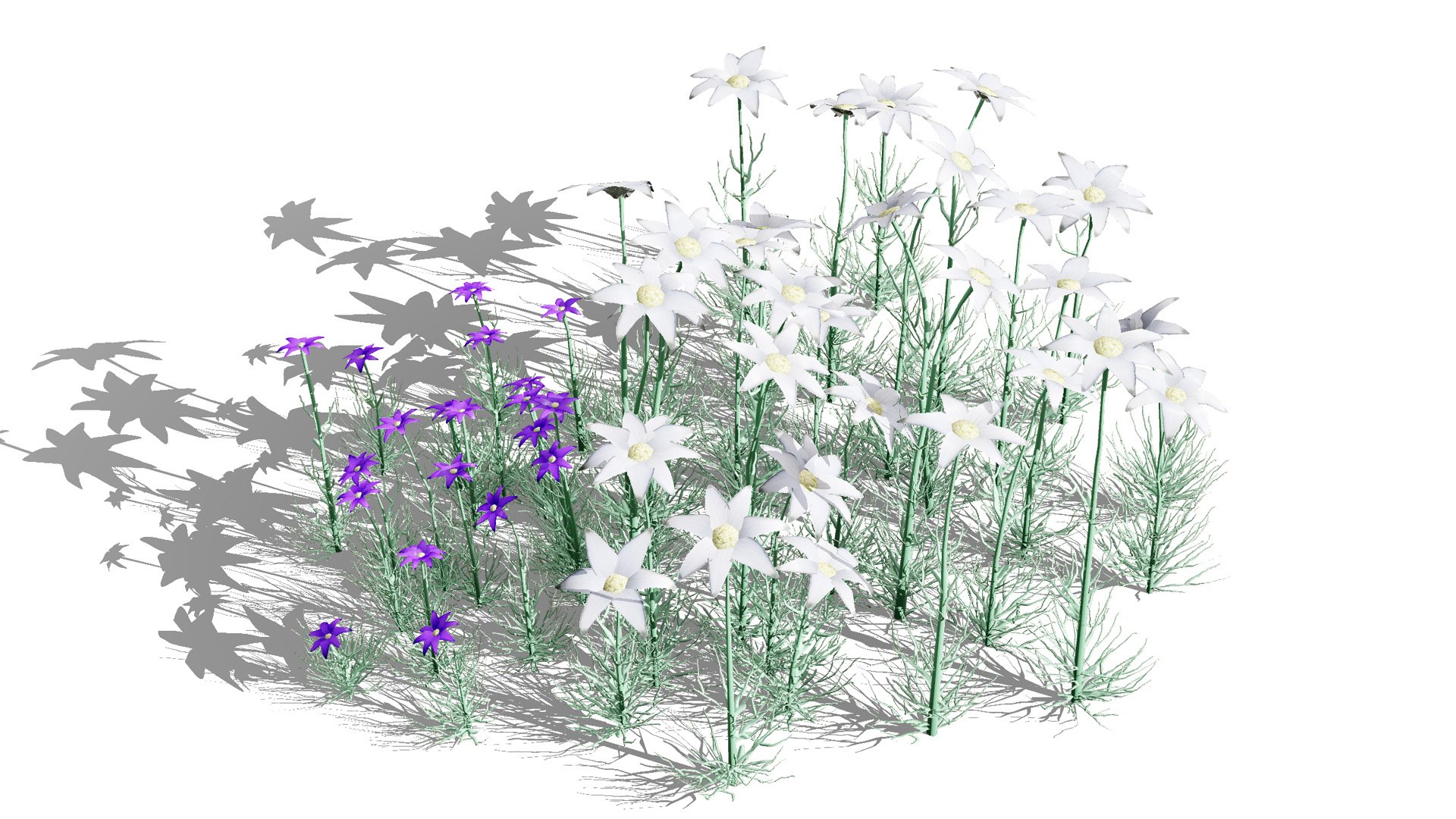 3D model 3D Flannel Flower Collection with Greenery https://p.turbosquid.com/ts-thumb/TN/2CpetU/o7/australianflannelflower33/jpg/1740514828/1920x1080/fit_q87/b33efc42783699462e94a8a19a7c5933cfc2b4e7/australianflannelflower33.jpg