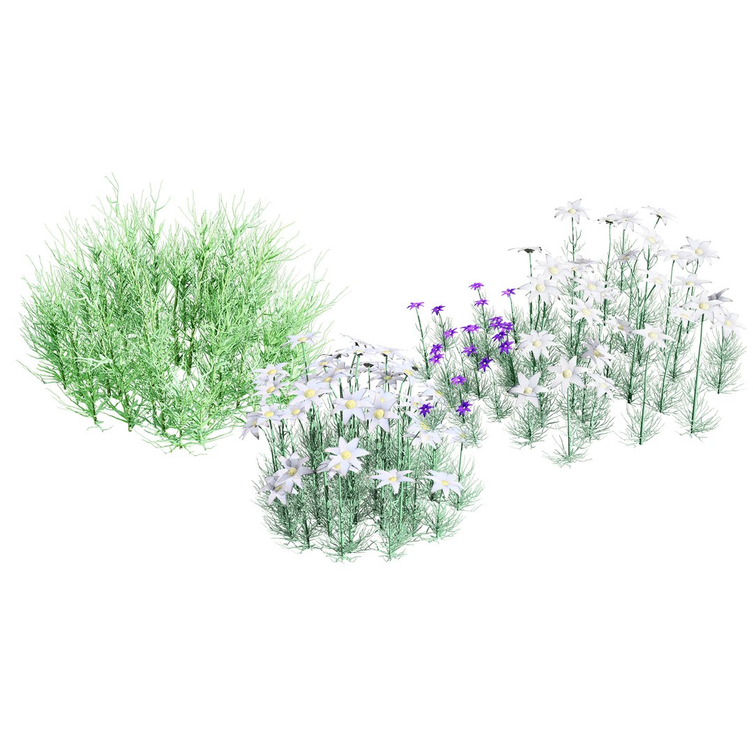 3D model 3D Flannel Flower Collection with Greenery https://p.turbosquid.com/ts-thumb/TN/2CpetU/wD/00coveraustralianflannelflower102ws/jpg/1740514824/1920x1080/fit_q87/173ddab080983a41c49e9be5ce4beaf2ae790bc1/00coveraustralianflannelflower102ws.jpg