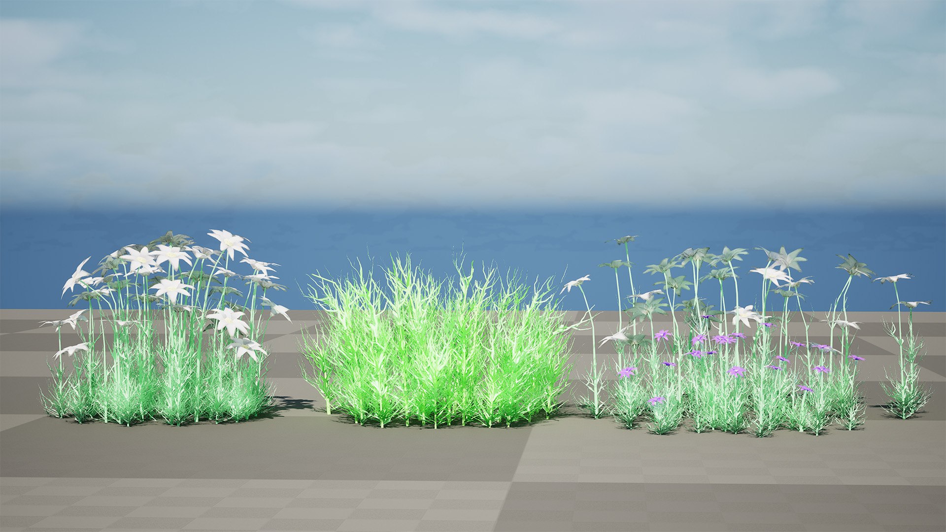 3D model 3D Flannel Flower Collection with Greenery https://p.turbosquid.com/ts-thumb/TN/2CpetU/zV/highresscreenshot00002/jpg/1740514830/1920x1080/fit_q87/e2dc9e3aa81fa9902941286e1330651ebbe46a65/highresscreenshot00002.jpg