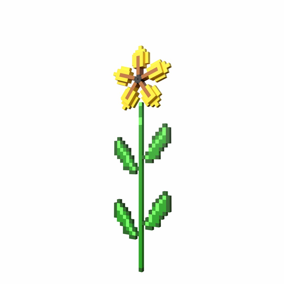 3D model Voxel Flower https://p.turbosquid.com/ts-thumb/TN/3APZnC/hv/4/png/1759259239/1920x1080/fit_q87/8c4818c2044d5c399ef0ac57185c751b5bdadcb4/4.jpg