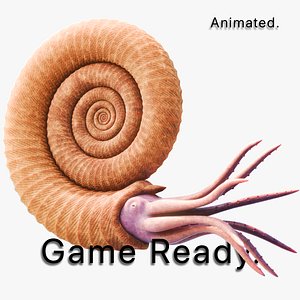 3D Ammonite Animated