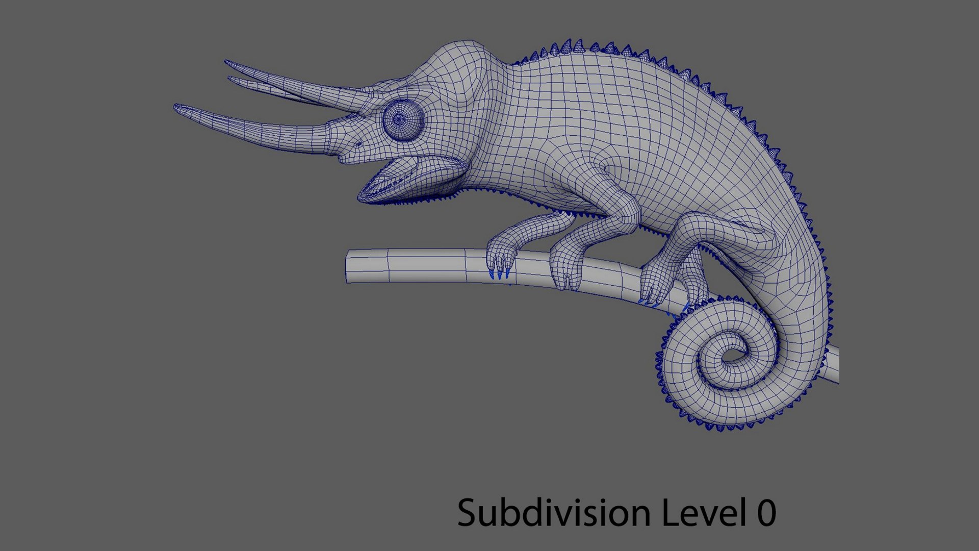 3D jackson s chameleon model https://p.turbosquid.com/ts-thumb/TN/H3MXy9/N1sUF9Pp/wire_subdi0/jpg/1597102512/1920x1080/fit_q87/858e2fc0a1fa0f06ea026b5a44938798f5dbd090/wire_subdi0.jpg