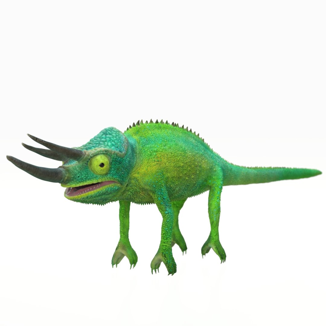 3D jackson s chameleon model https://p.turbosquid.com/ts-thumb/TN/H3MXy9/UYXUn3Ac/camera4_beauty/jpg/1590351113/1920x1080/fit_q87/bd652f0312ff59114ce505ee304258d3a9d15725/camera4_beauty.jpg