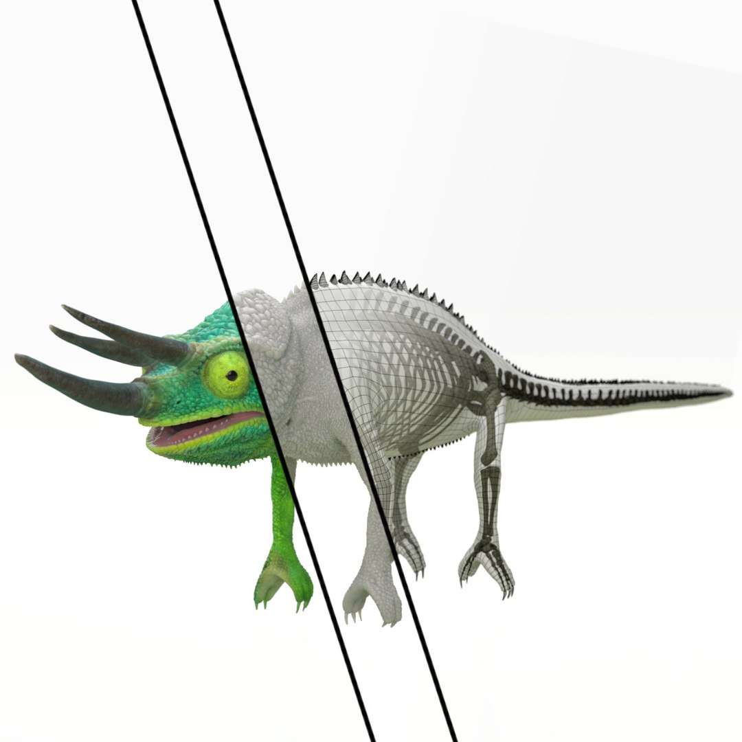 3D jackson s chameleon model https://p.turbosquid.com/ts-thumb/TN/H3MXy9/gXEV729I/camera4_all/jpg/1590351107/1920x1080/fit_q87/6d206a04b8dd1a1843b7547454bbbe0b6b9b3ff2/camera4_all.jpg
