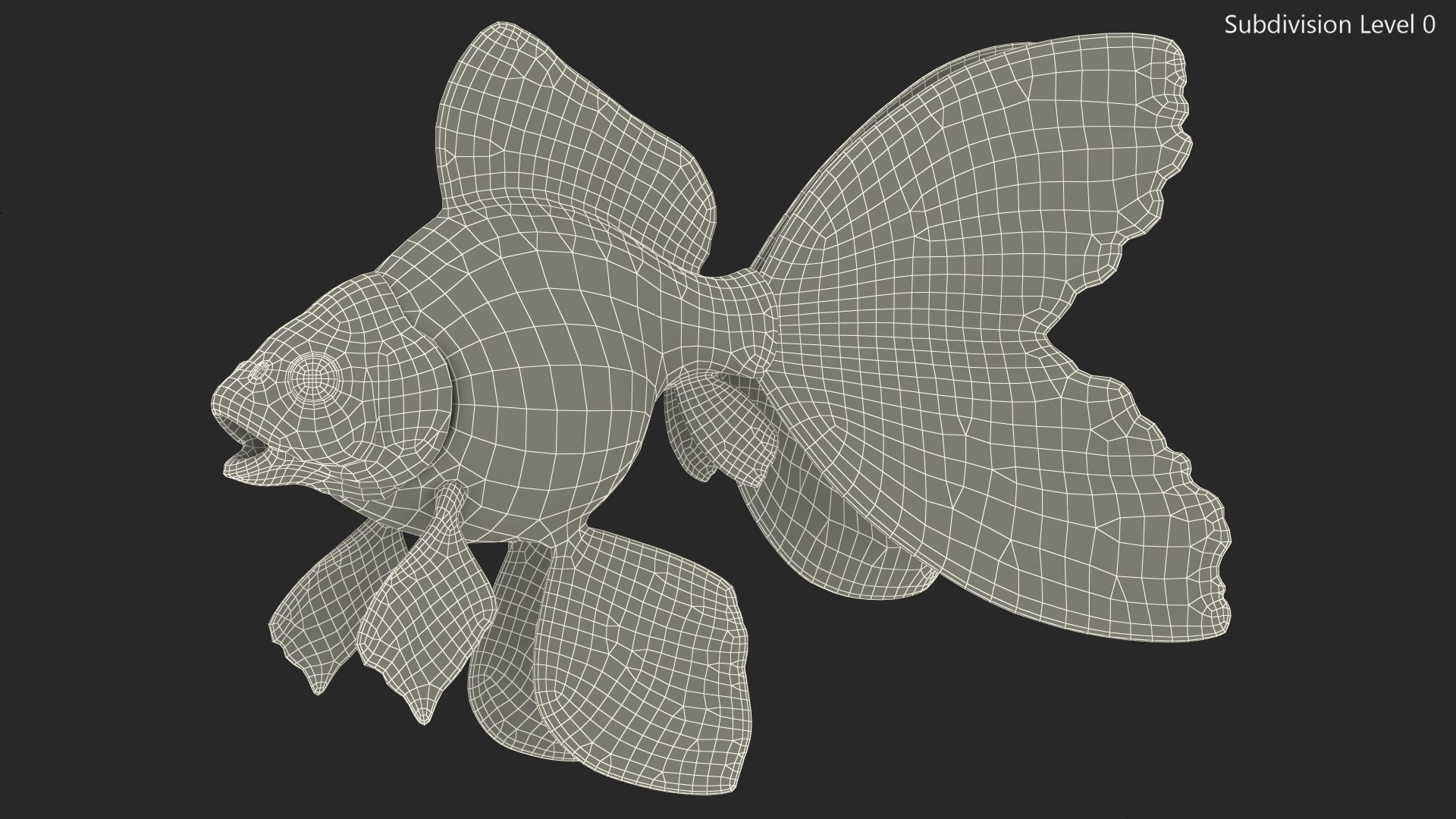 Black Moor Goldfish Rigged for Maya model https://p.turbosquid.com/ts-thumb/TN/I4akd6/4O/blackmoorgoldfishriggedc4dmodel029/jpg/1626292147/1920x1080/fit_q87/ad7c1570651d0e1a96e8b3eddc6004762770ac9a/blackmoorgoldfishriggedc4dmodel029.jpg