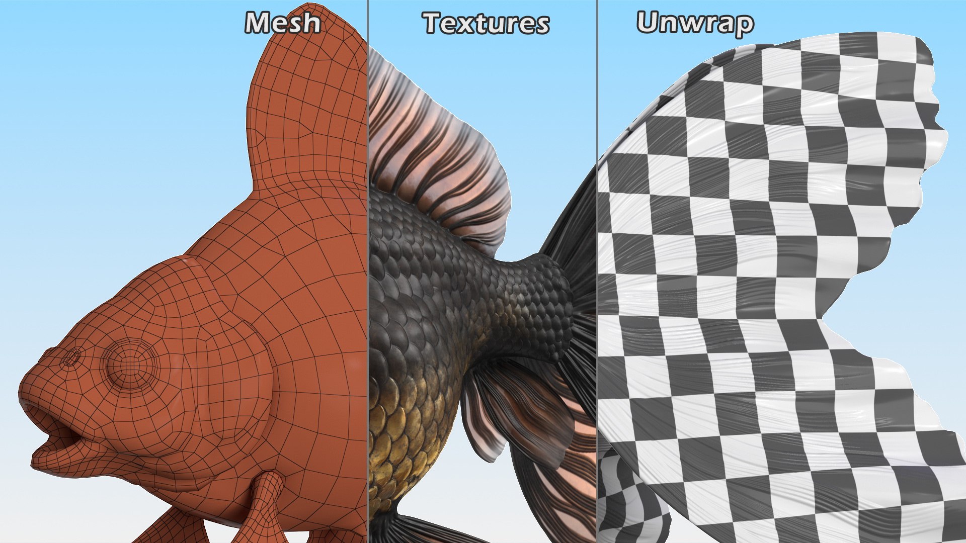 Black Moor Goldfish Rigged for Maya model https://p.turbosquid.com/ts-thumb/TN/I4akd6/Ga/blackmoorgoldfishriggedc4dmodel028/jpg/1626292145/1920x1080/fit_q87/7fb4ceb652cd5b03998a8f1c2fc77626df7d57c8/blackmoorgoldfishriggedc4dmodel028.jpg